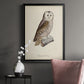 French Owls V - Modern Framed Canvas Print