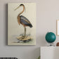 Antique Heron II Premium Gallery Wrapped Canvas - Ready to Hang