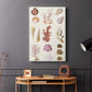 Coral & Shell Collage II - Canvas Art Print
