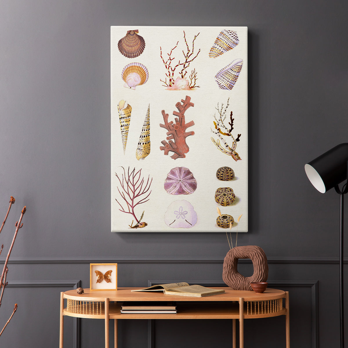 Coral & Shell Collage II - Canvas Art Print