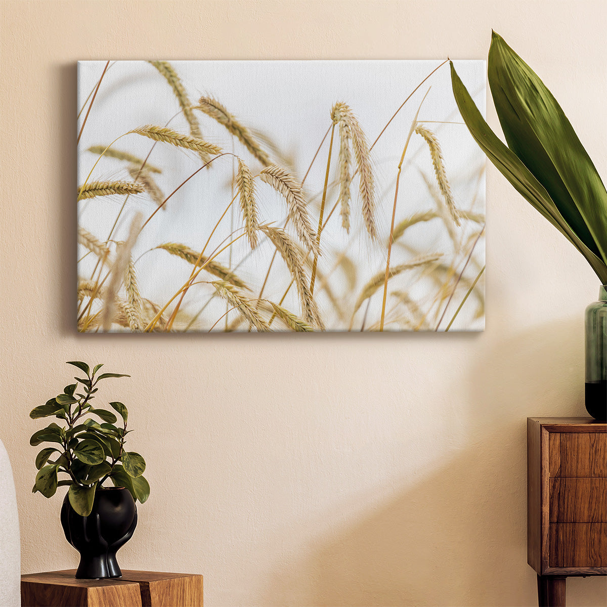 Wheat Premium Gallery Wrapped Canvas - Ready to Hang