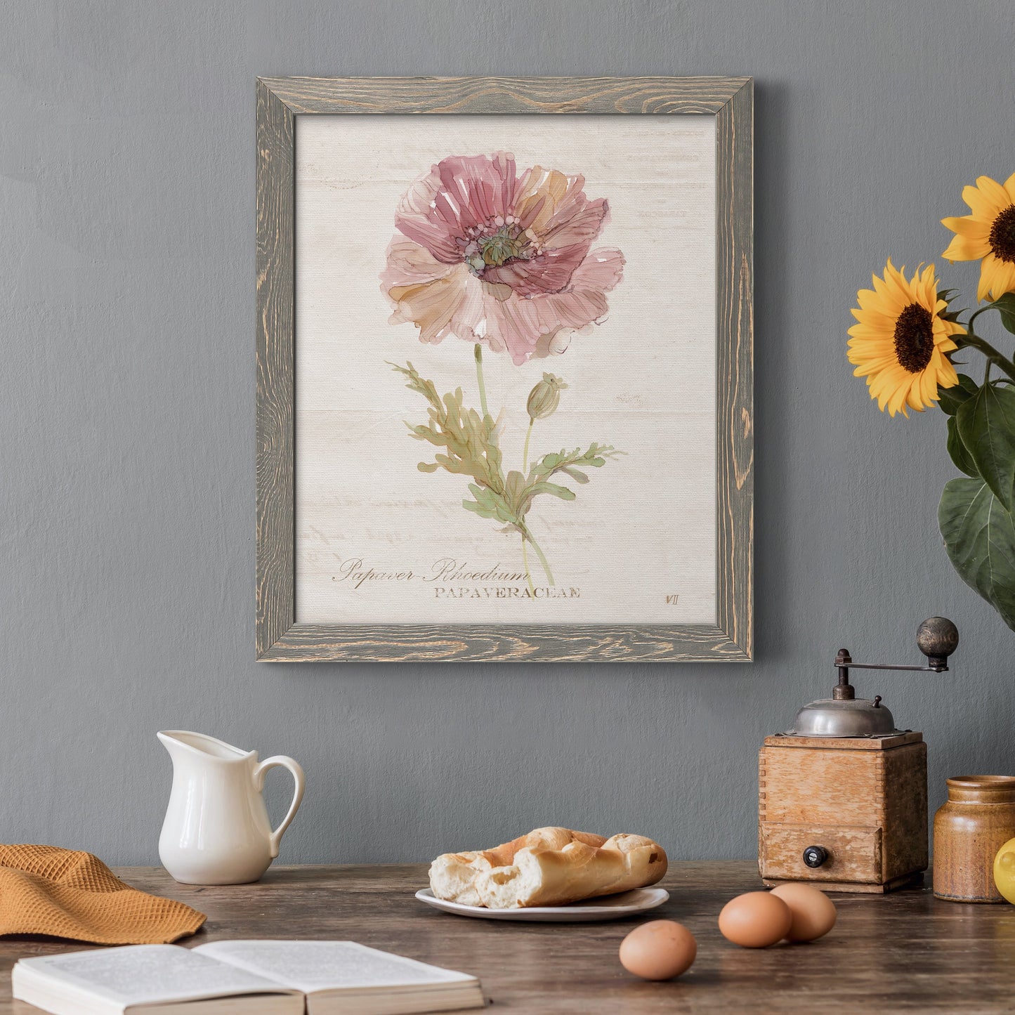 Soft Poppy - Premium Canvas Framed in Barnwood - Ready to Hang