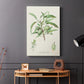 Antique Almond Botanical III - Canvas Art Print