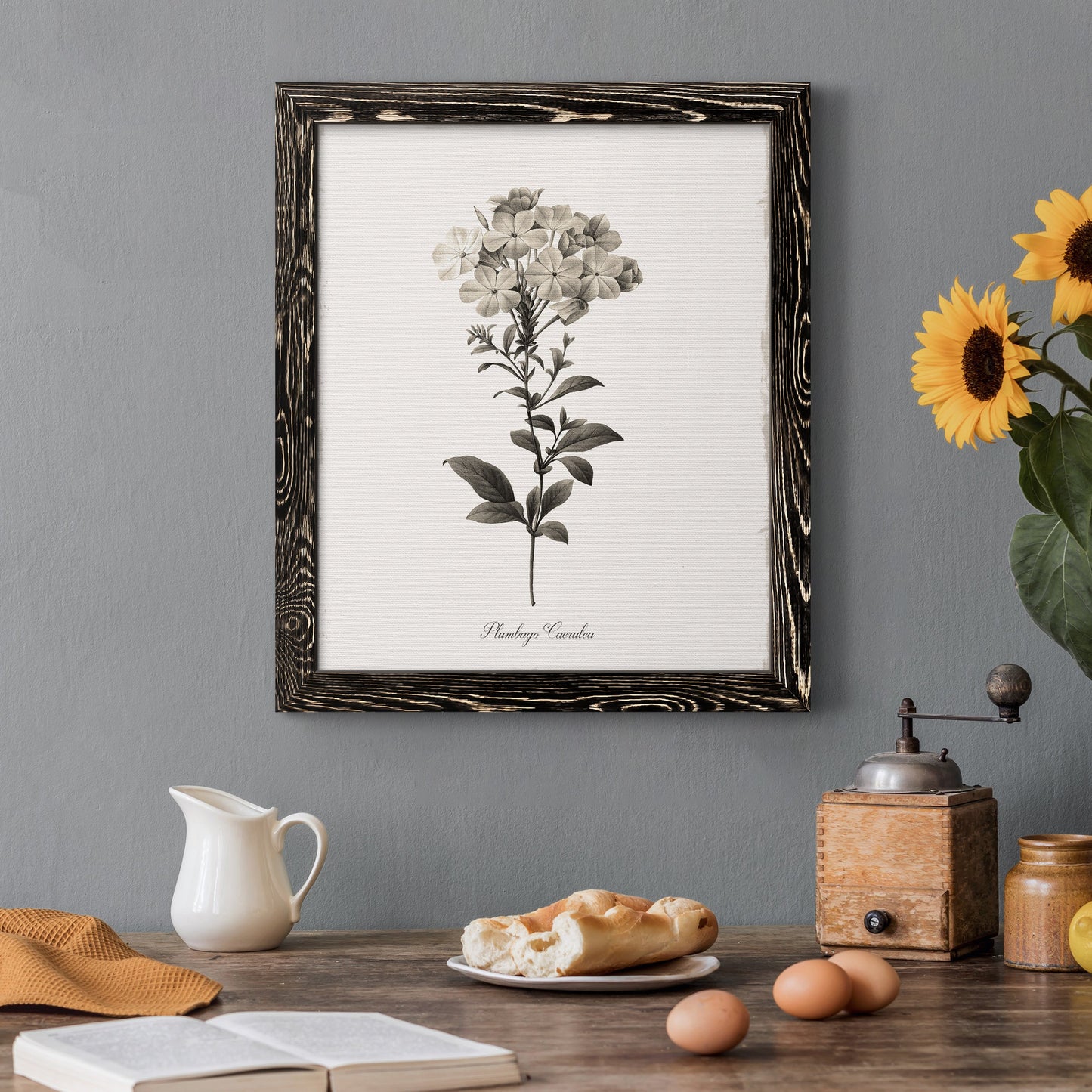 Sketchbook Leadwort - Premium Canvas Framed in Barnwood - Ready to Hang