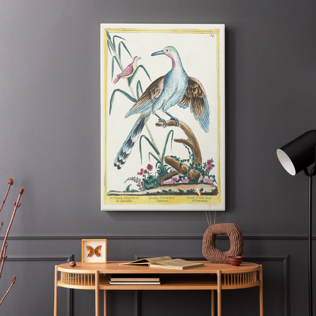 The Jamaican Long-Beaked Cuckoo, 1771-1775 - Canvas Art Print