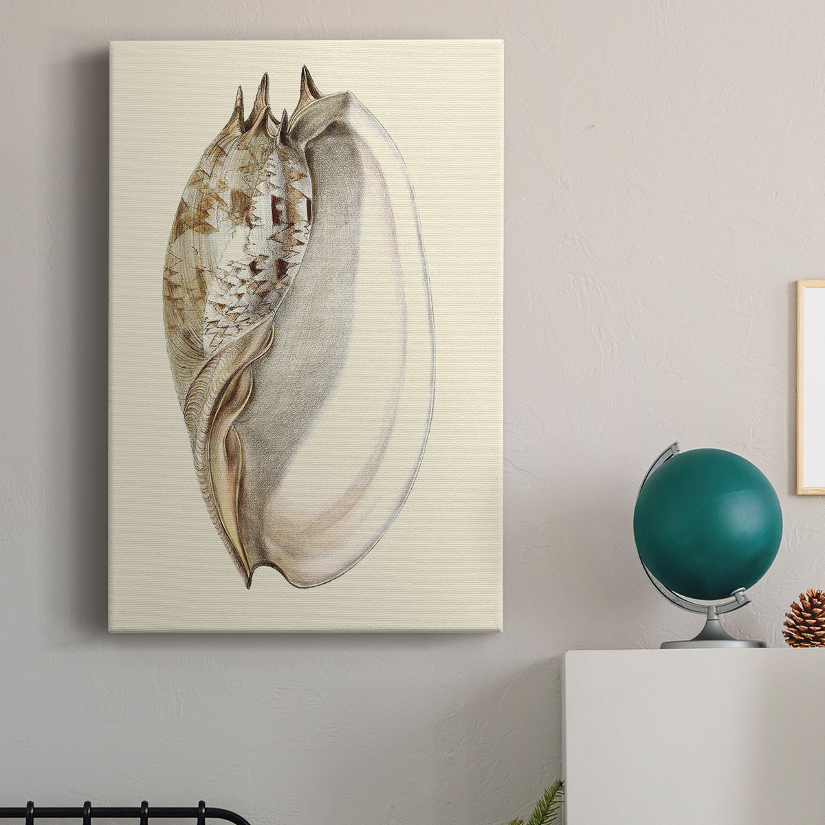 Splendid Shells IV Premium Gallery Wrapped Canvas - Ready to Hang