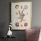 Knorr Shells & Coral II - Modern Framed Canvas Print