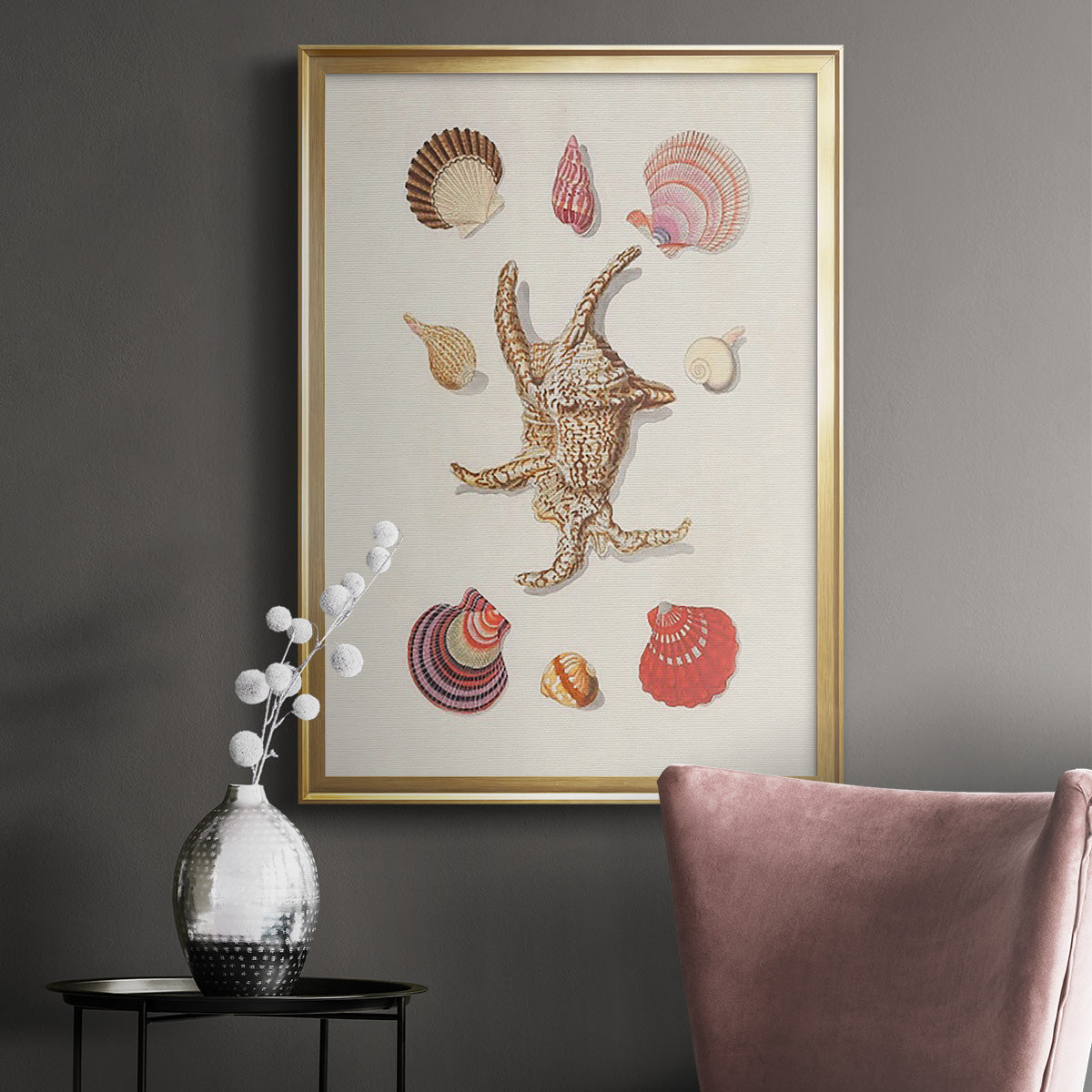 Knorr Shells & Coral II - Modern Framed Canvas Print