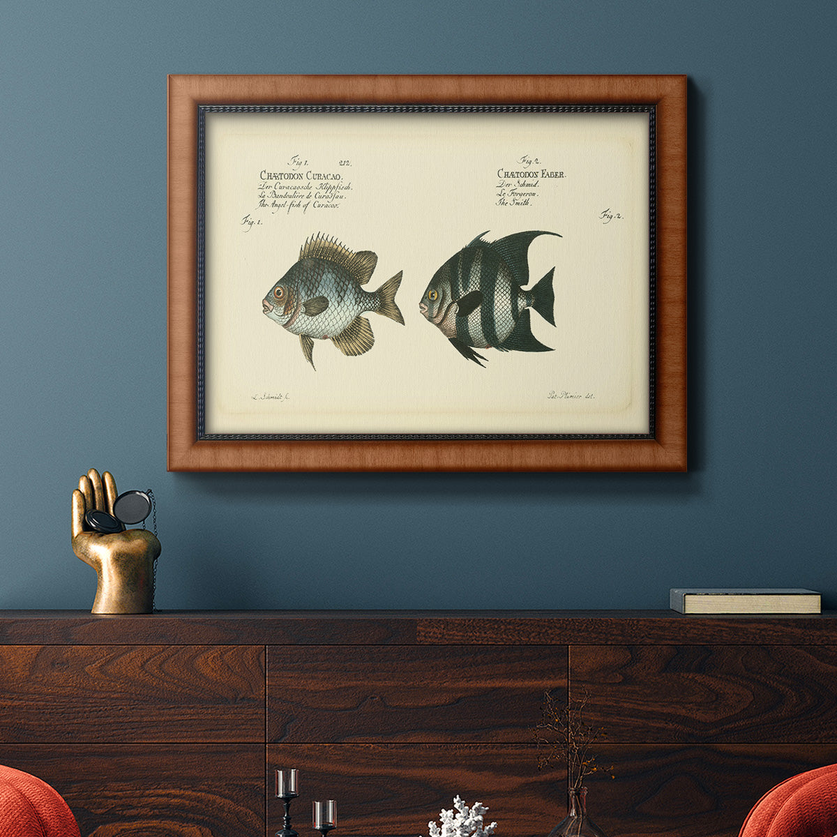 Bloch Antique Fish II Premium Framed Canvas- Ready to Hang