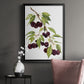 Watercolor Cherries - Modern Framed Canvas Print