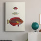 Colorful Tropical Fish II Premium Gallery Wrapped Canvas - Ready to Hang