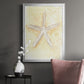Salty Seashell I - Modern Framed Canvas Print