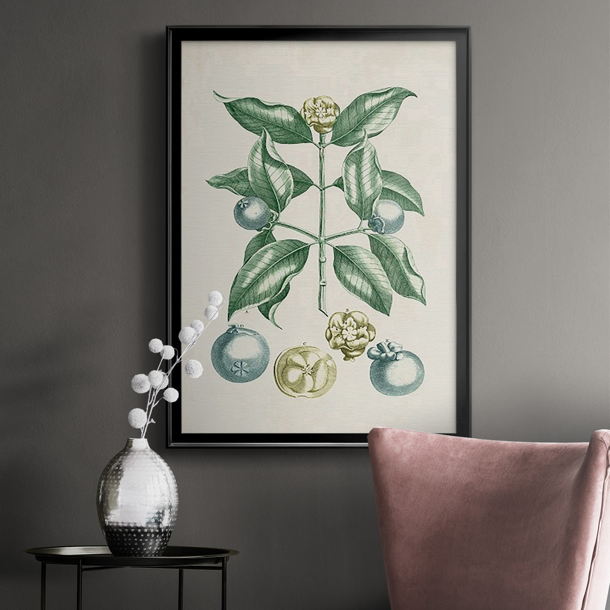 Buchoz Tropicals VII - Modern Framed Canvas Print