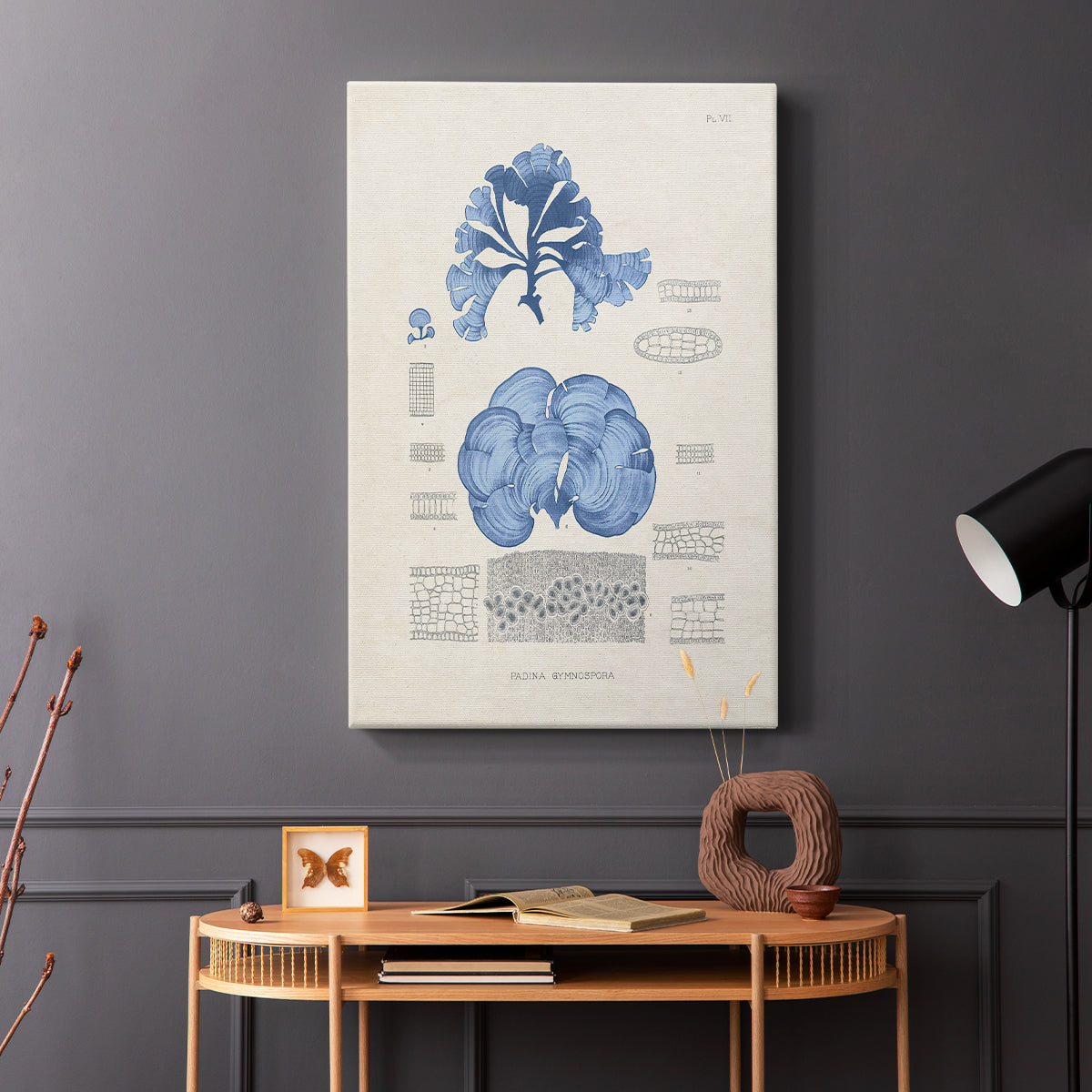 Blue Marine Algae IV - Canvas Art Print