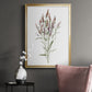 Dainty Botanical III - Modern Framed Canvas Print