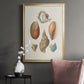 Knorr Shells & Coral I - Modern Framed Canvas Print
