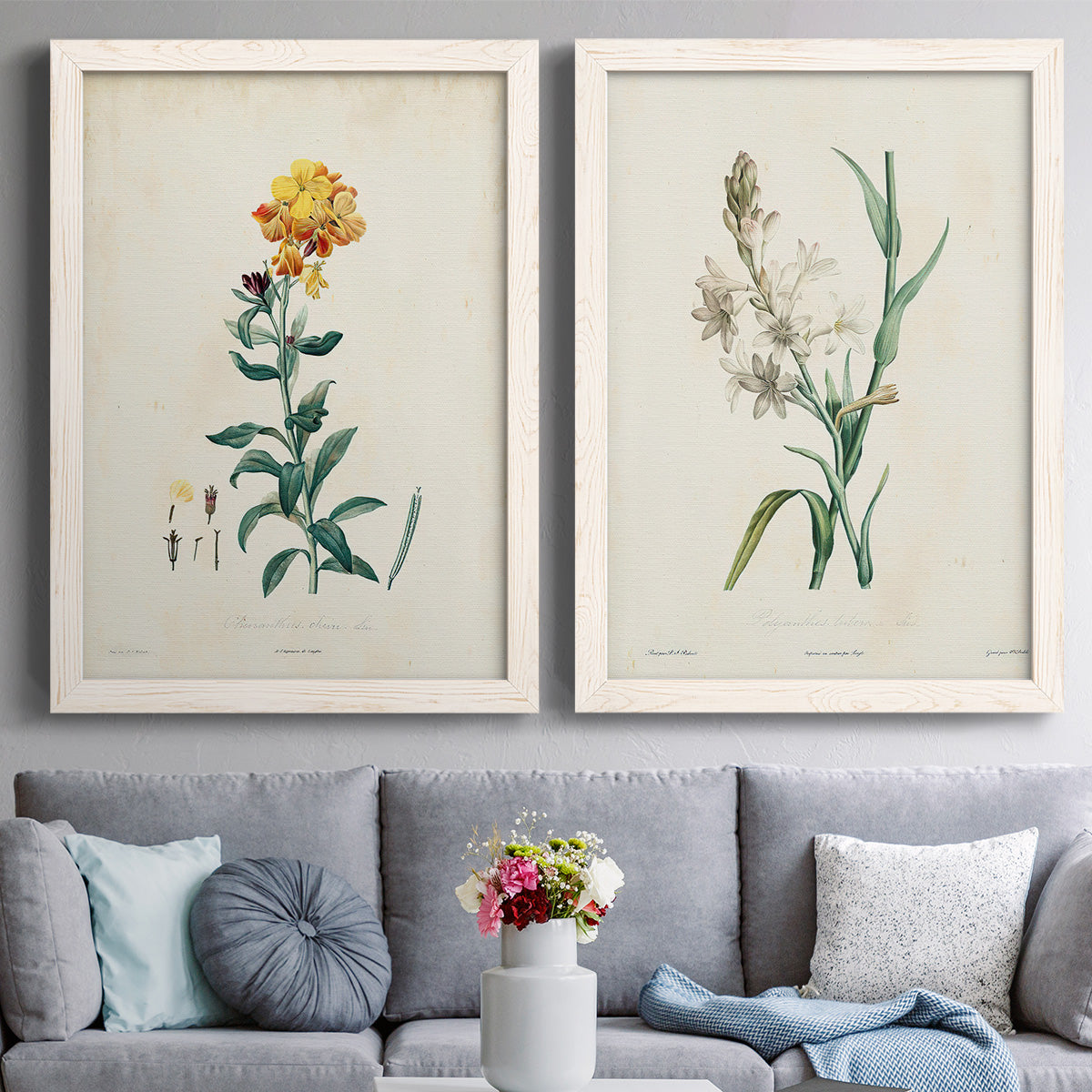 Traditional Botanical III - Premium Framed Canvas 2 Piece Set - Ready to Hang