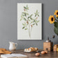 Single Sprig I Premium Gallery Wrapped Canvas - Ready to Hang