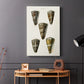 Cone Shell Collection V - Canvas Art Print
