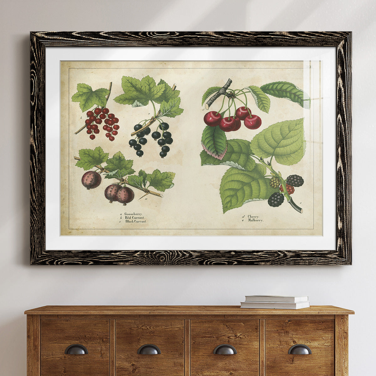 Kitchen Fruits III-Premium Framed Print - Ready to Hang