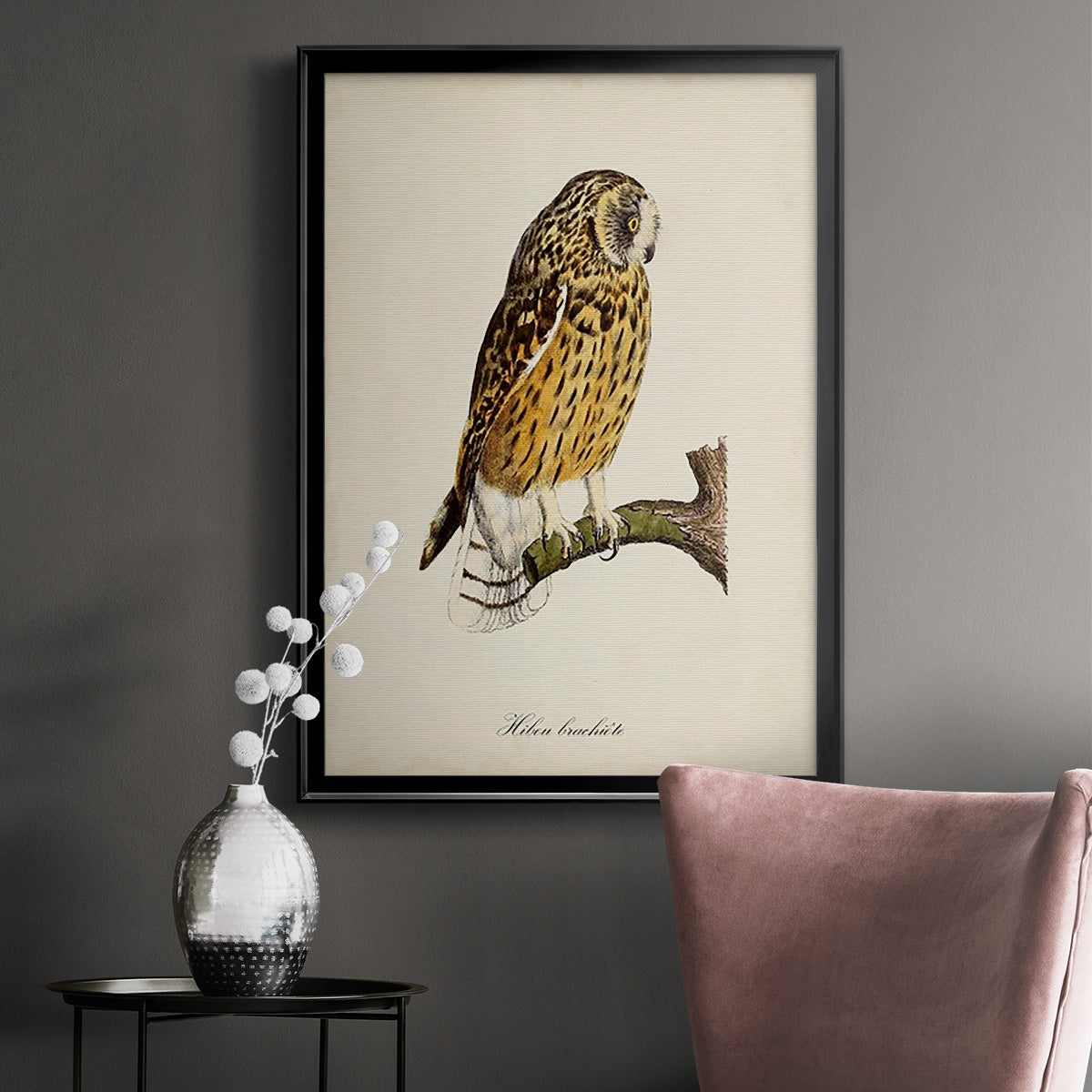 French Owls II - Modern Framed Canvas Print