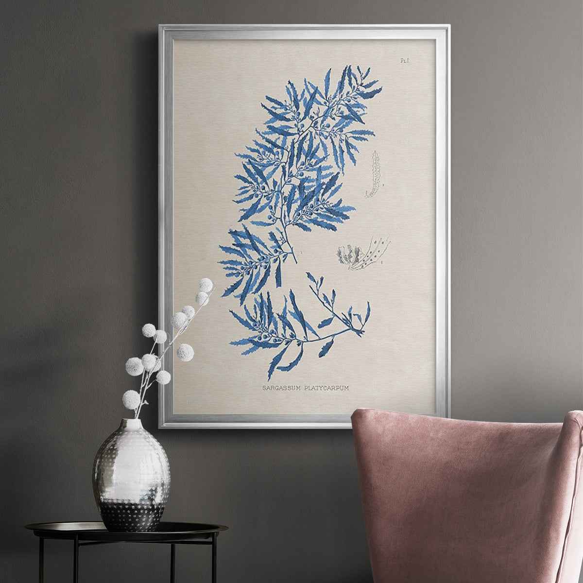 Blue Marine Algae III - Modern Framed Canvas Print