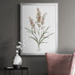 Dainty Botanical I - Modern Framed Canvas Print