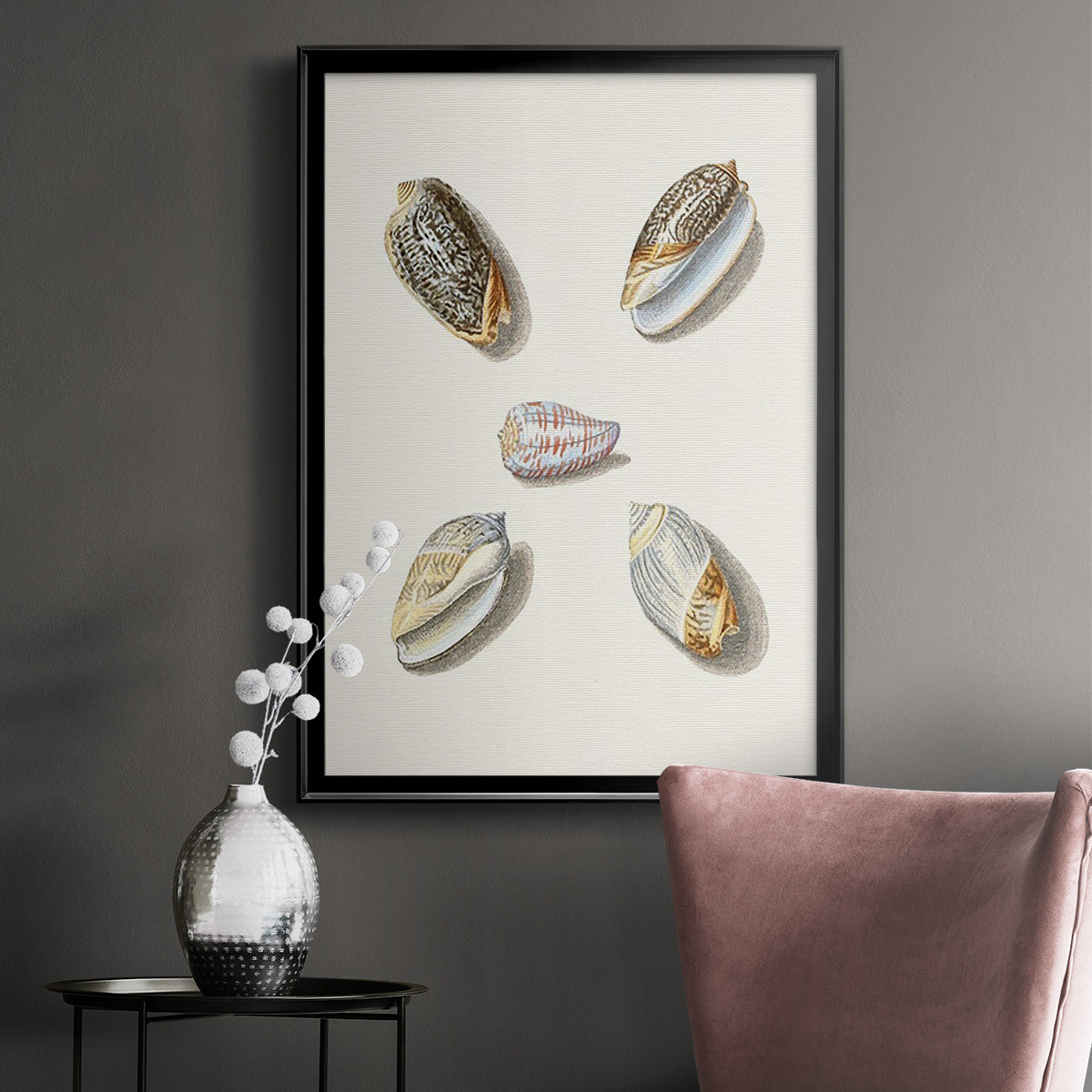 Pastel Knorr Shells III - Modern Framed Canvas Print