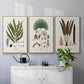 Botanical Society Ferns I - Framed Premium Gallery Wrapped Canvas L Frame 3 Piece Set - Ready to Hang