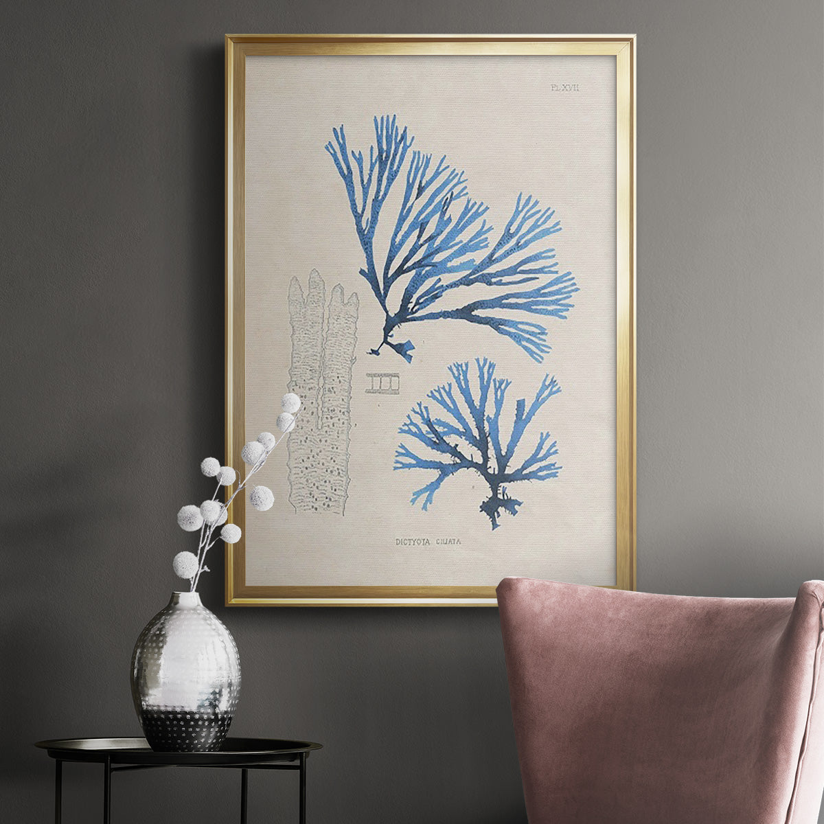 Blue Marine Algae V - Modern Framed Canvas Print