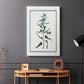 Shabby Chic Botanical I - Canvas Art Print