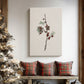 Pearled Lantern Serenade - Canvas Art Print