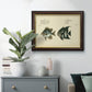 Bloch Antique Fish II Premium Framed Canvas- Ready to Hang