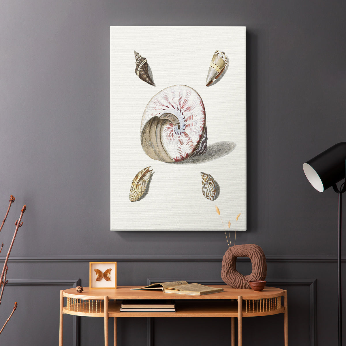 Pastel Knorr Shells II - Canvas Art Print