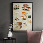 Mushroom Species IV - Modern Framed Canvas Print