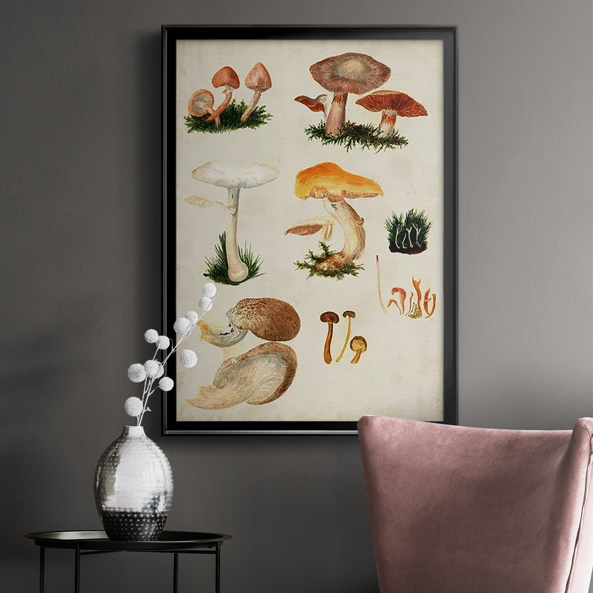 Mushroom Species IV - Modern Framed Canvas Print