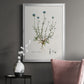 Bellflower Study - Modern Framed Canvas Print