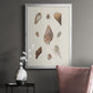 Knorr Shells & Coral IX - Modern Framed Canvas Print