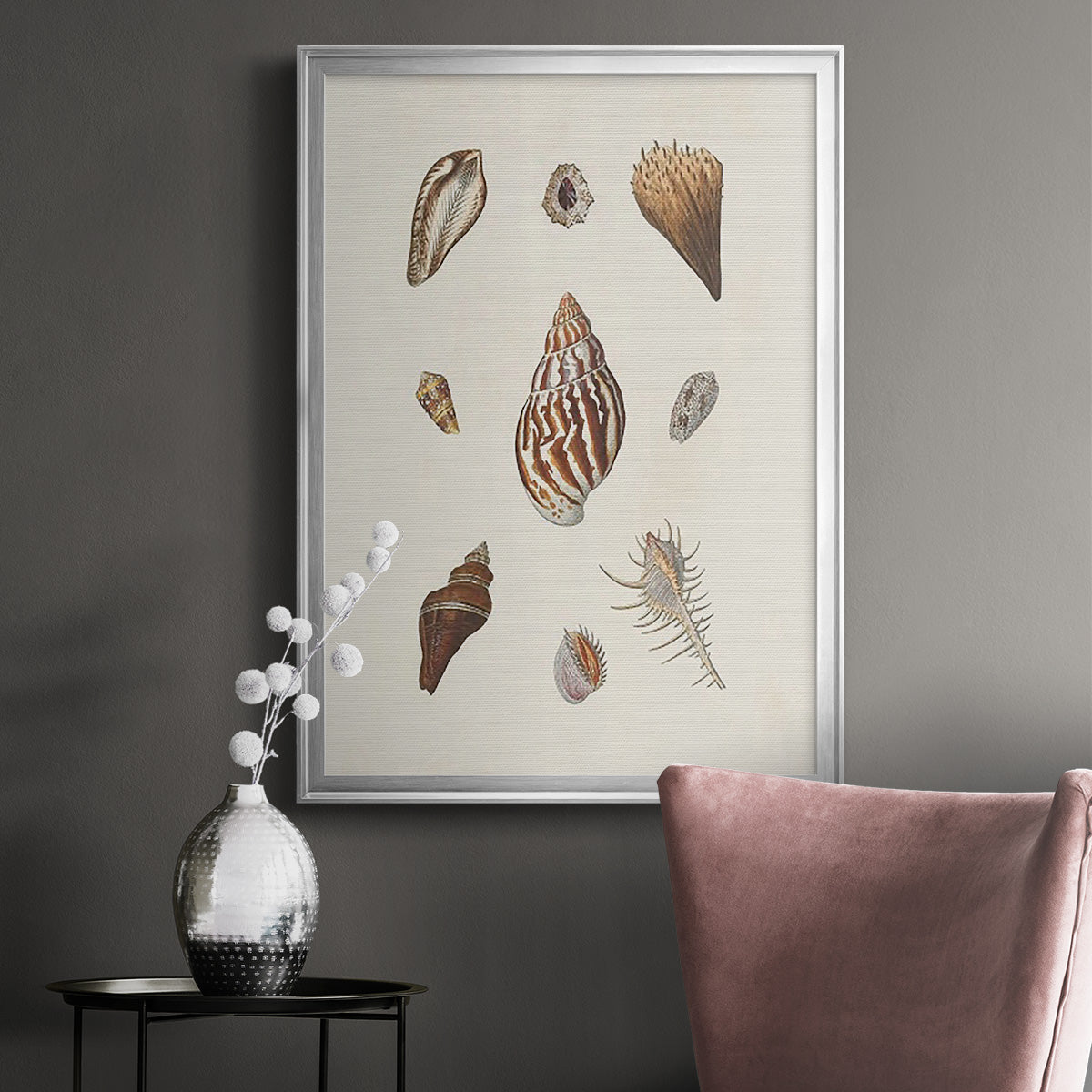 Knorr Shells & Coral IX - Modern Framed Canvas Print