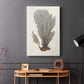 Knorr Shells & Coral III - Canvas Art Print