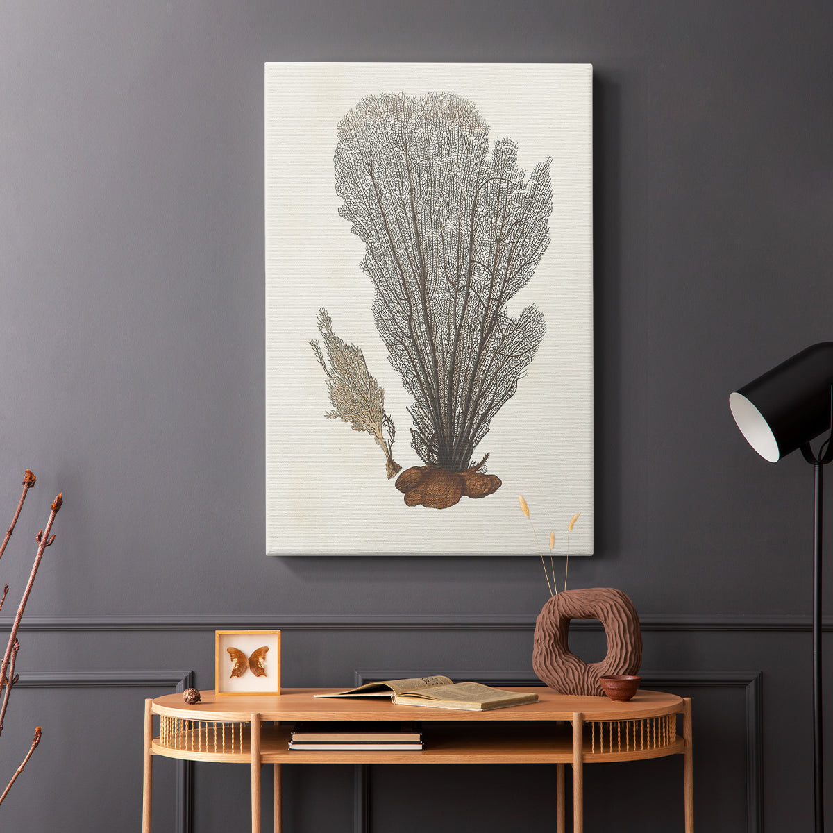 Knorr Shells & Coral III - Canvas Art Print