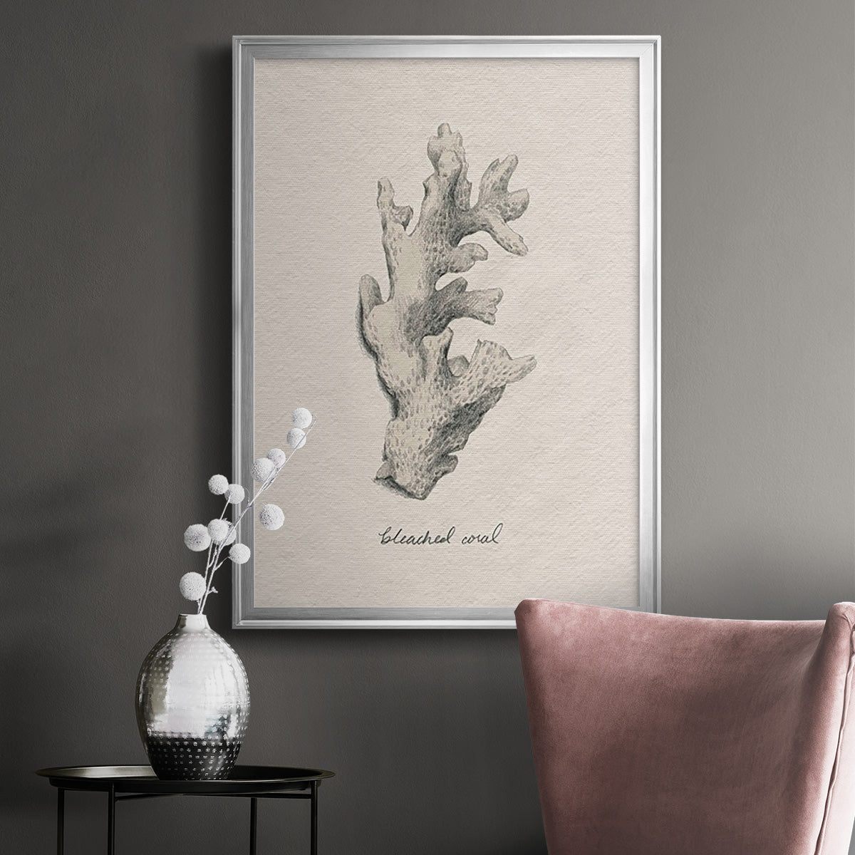 Shore Treasure Study II - Modern Framed Canvas Print