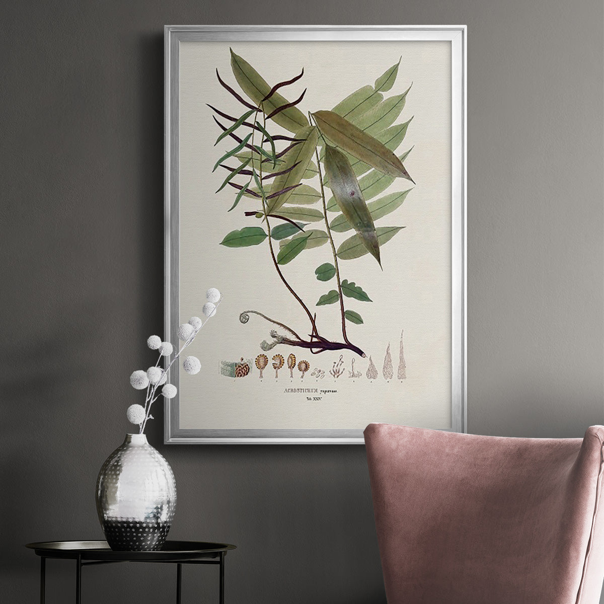 Botanical Society Ferns VI - Modern Framed Canvas Print