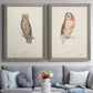 Scops- Eared Owl - Premium Framed Canvas 2 Piece Set - Ready to Hang