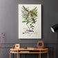 Botanical Society Ferns VI - Canvas Art Print