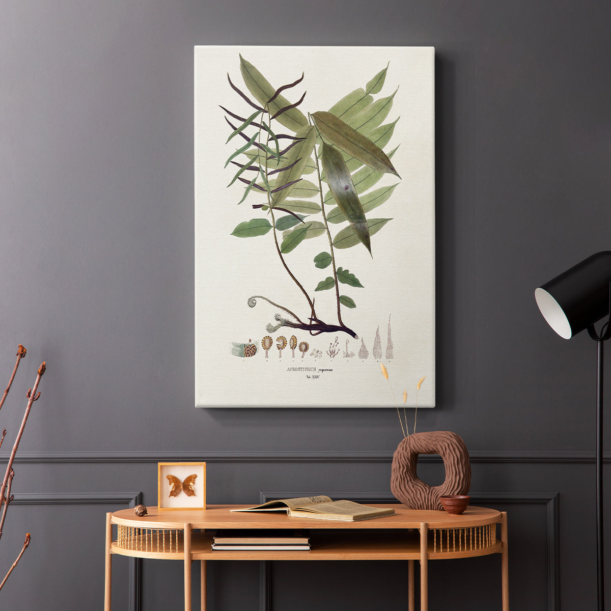 Botanical Society Ferns VI - Canvas Art Print