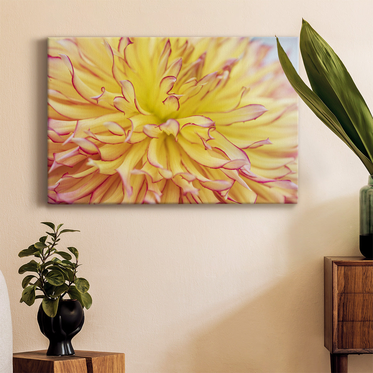 Blooms III Premium Gallery Wrapped Canvas - Ready to Hang