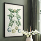 Buchoz Tropicals VII - Restickable Framed Art Print