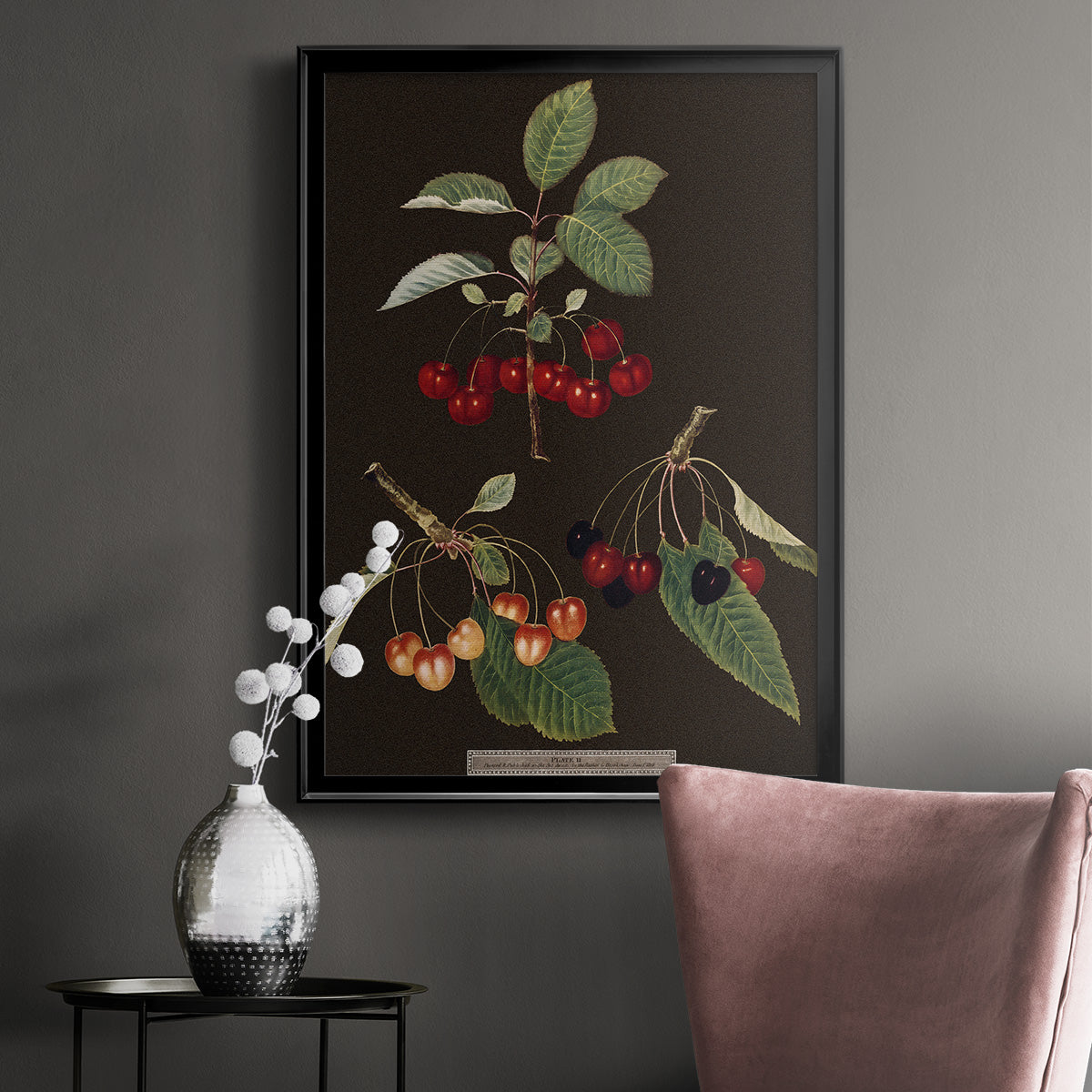 Brookshaw Cherries - Modern Framed Canvas Print