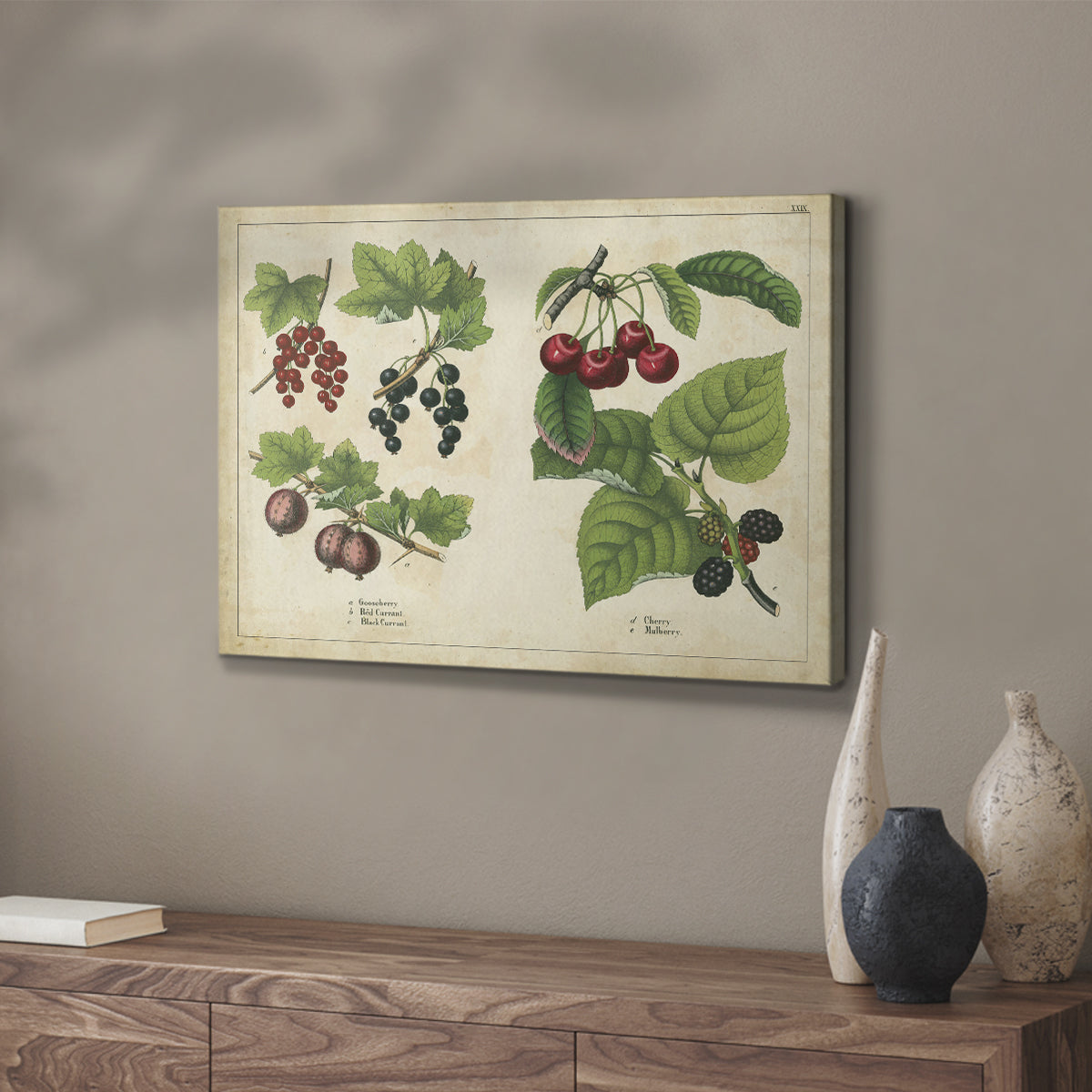 Berries and Currants - Canvas Art Print